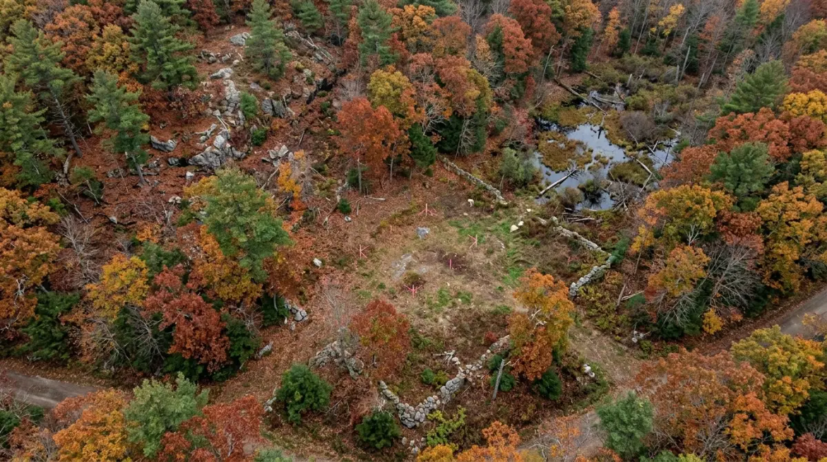 Wooded Rhode Island parcel with stone walls and a small cleared building area, showing how buildable land affects Rhode Island barndominium cost per sq ft